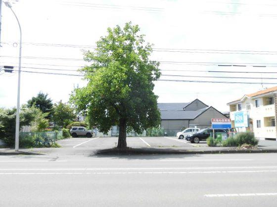 仙北町月極駐車場の外観・駐車場イメージ1枚目