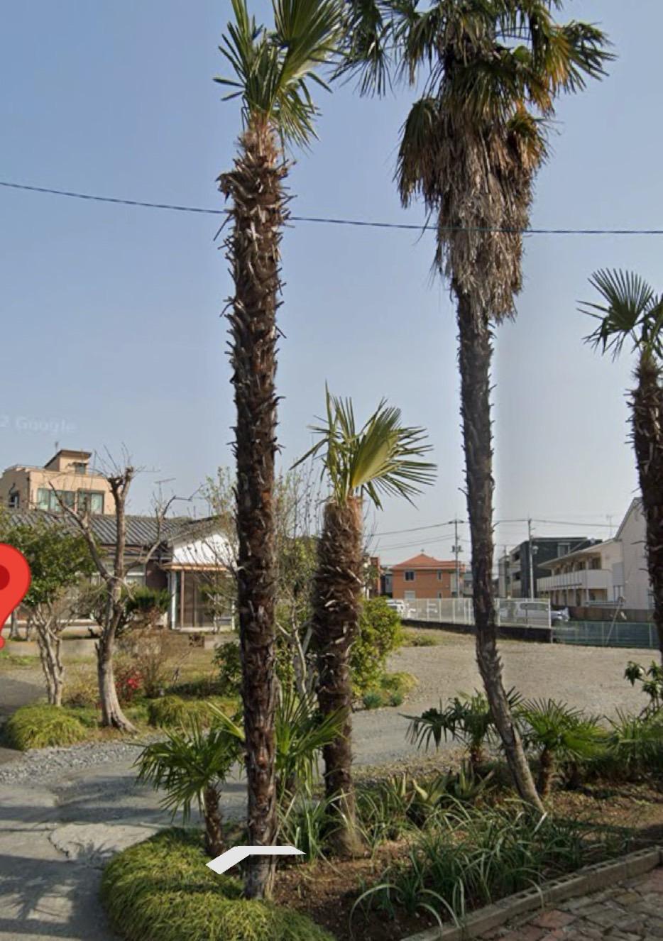 池田敷地内駐車場の外観・駐車場イメージ2枚目