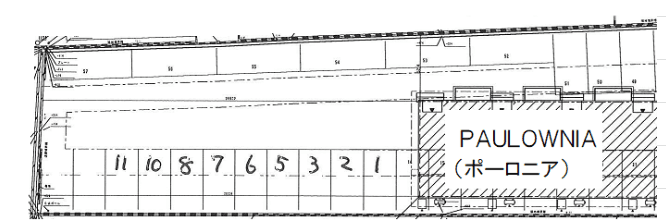 PAULOWNIA(ポーロニア)の駐車配置図